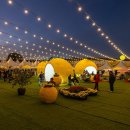 고흥종합관광안내소 이미지