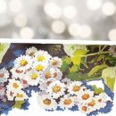 유화감성 오일파스텔화 이미지