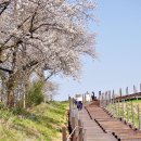 서산한우