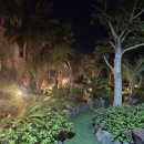 제주하와이 덕수궁 이미지