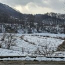 주봉보건진료소 이미지