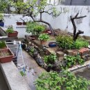 마당드림공인중개사사무소 이미지