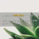 마라나타 이미지