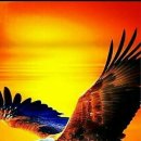 진이발관 이미지