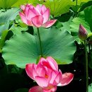 지혜공인중개사사무소 이미지