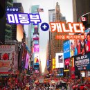 탑하나여행사 이미지