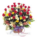 사파동284 이미지