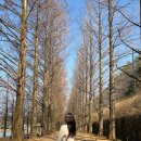 이드칸 | 루이비통 미니 베니티백 체인 파우치 후기 (+실착) 토트/숄더/크로스백 다 되는 인생가방