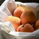 롯데쇼핑(주)롯데마트사업본부 이미지