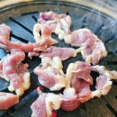 그린하우스 이미지