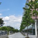 가온누리한의원 | [임신 35주 차] 세종맘 임신육아교실 후기