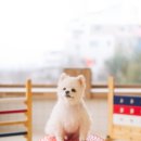 동탄호수유치원 이미지