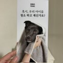 제로펫 - 강남구 선릉로 704 | [유어타올|펫 제로타올] 목욕후 보송보송하게 ! 내돈내산 후기