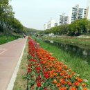 성포예술광장2 이미지