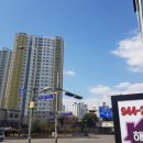 운정파크푸르지오 앞 횡단보도 이미지