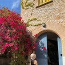 동키황토방 | 마요르카 숙소 추천, 아그로투리스모 알케리아 블랑카 주니어 스위트 후기 (룸컨디션, 공용시설, 수영장)