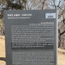 덕포진 | 서울근교데이트 산책코스로 좋은 덕포진 서울근교당일치기추천