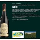 [소믈리에 & 와인시음회] 롯데호텔(Lottehotel) VITIS WINE SALON & WINE BAZZAR 와인 행사를 다녀와서 2부