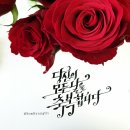 프로젝트99 네이버블로그