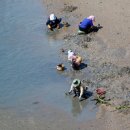 동삼어촌체험휴양마을 이미지