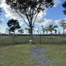 13-C | 삼락오토캠핑장 가을캠핑 일반사이트 C-13 후기