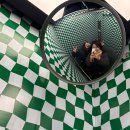 달사냥인형뽑기장 | 26년 1월 일상 : 새해 뭐 있나