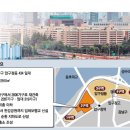 압구정-118 이미지
