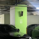 모노플라워 이미지