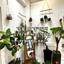 카페 하내리 | [경북 문경 카페] 하내리 다녀온 후기