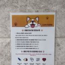 카페포제 | 진해 카페 | 신상 커피 맛집 카페 포제 두번 연속 다녀온 후기(애견동반, 내돈내산)