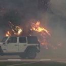 피씨오텍 이미지