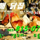 자매닭집 이미지