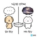 프롬(Prom) 이미지