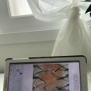 이문19 | 맞춤형 두피케어 두피클리닉센터 염색앤두피 이문점 솔직 후기