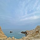 울산 대왕암공원 출렁다리 아이들이 너무 좋아하네요~