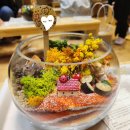 6살 유치원 2학기 학부모 참여수업 참석후기