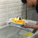 오대치킨 이미지