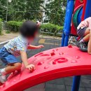 세성유치원 이미지