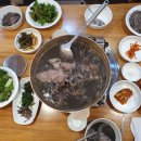 불미골오리 이미지