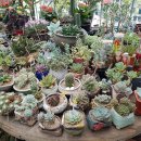 송암농원 이미지