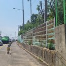 대곶중학교 이미지