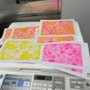 리소(RISO)