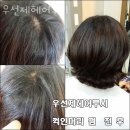 헤어루시 이미지