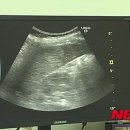 다나수의원 이미지