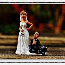 자연식품 이미지