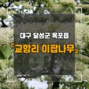 교항리(하)