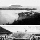 서귀포산업 주식회사 - 1061 | 서귀포산업 주식회사