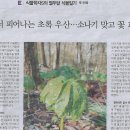 초록e 이미지