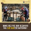 유룡리농장 이미지