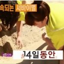 (주)SBS 이미지